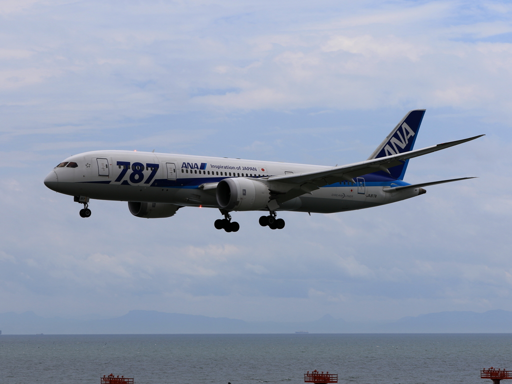 B787 (3)