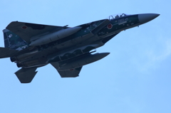 新田原エアーフェスタ (7)