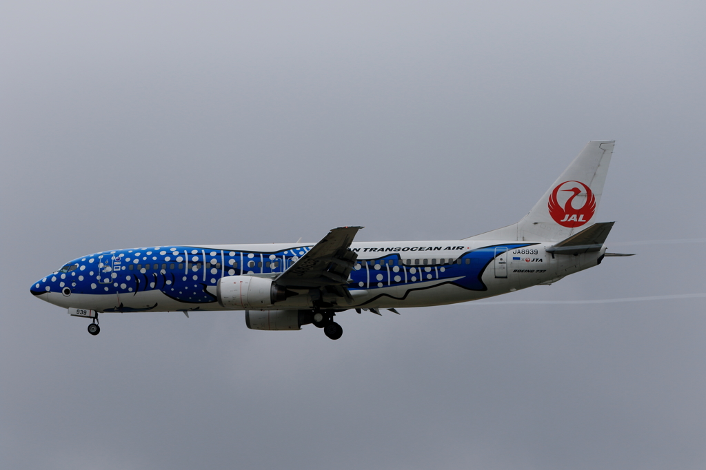那覇空港遠征 (29)