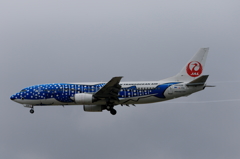那覇空港遠征 (29)