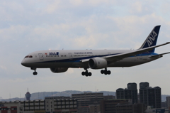 福岡空港2タミ (12)