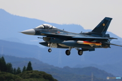F2 (7)
