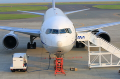 ANA696便