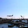 ANAと漁港