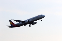 ASIANA (3)