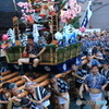 土居流