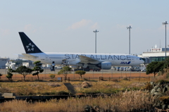 STAR ALLIANCE (4)