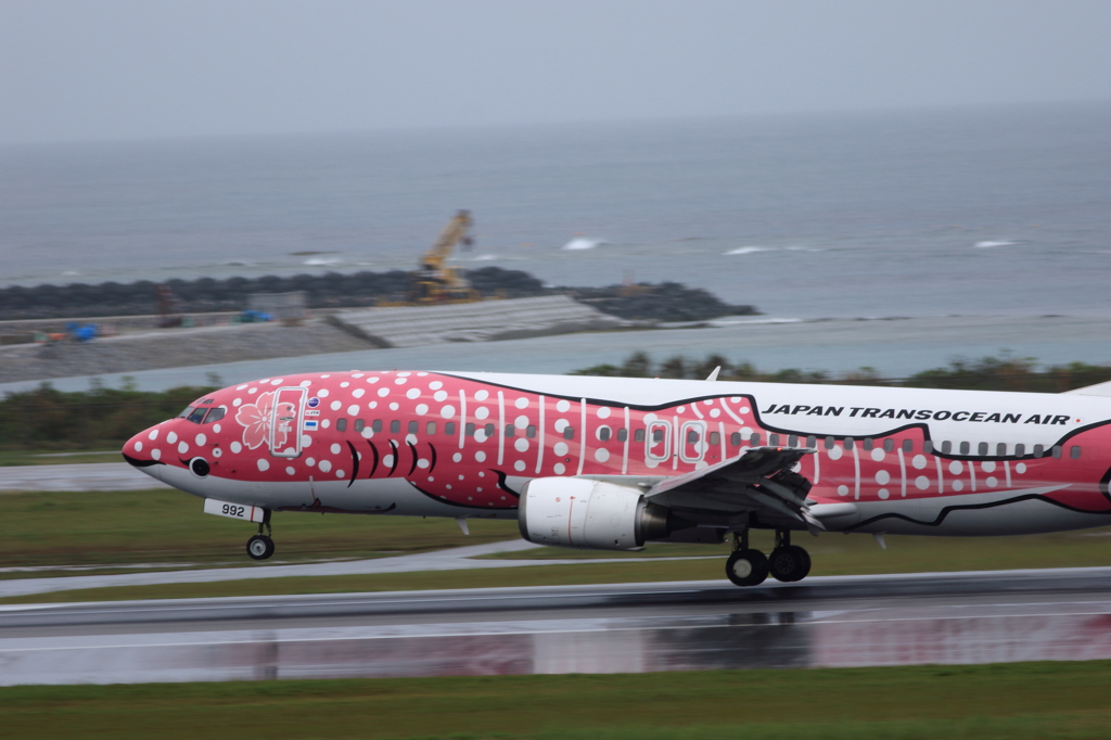 那覇空港遠征2日目