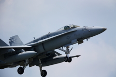 FSD (9)