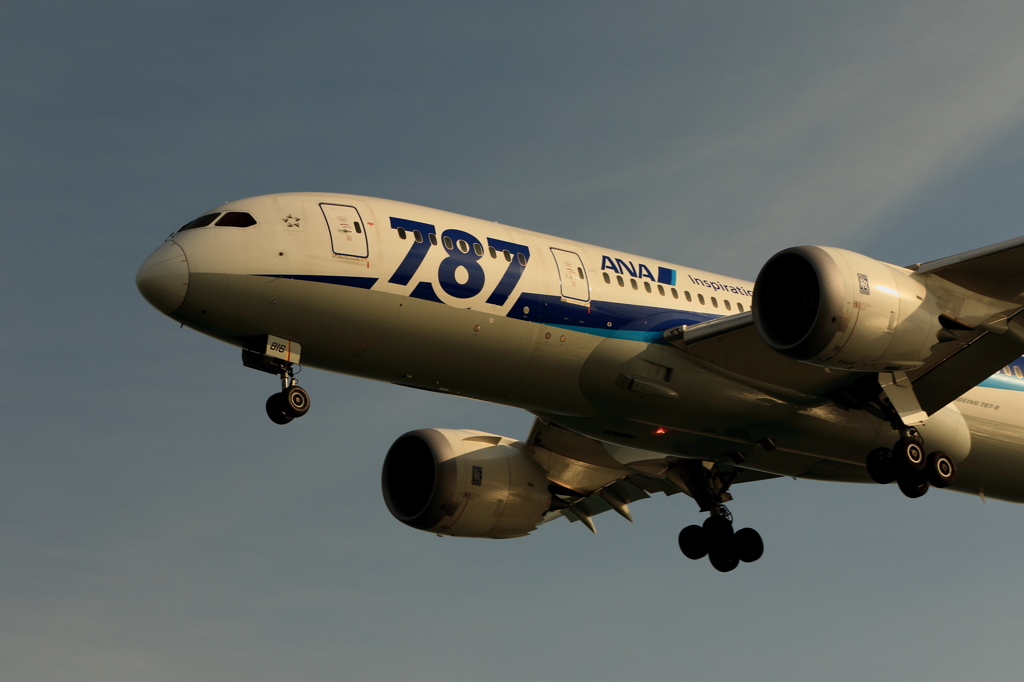 B787