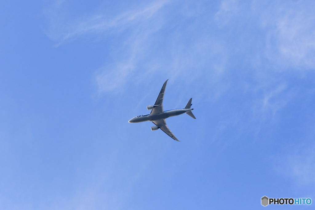 B787