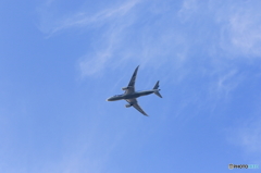 B787