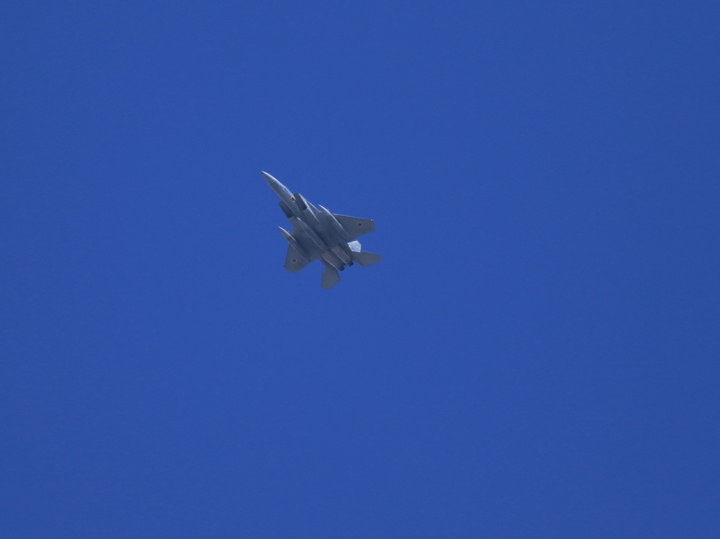 F15