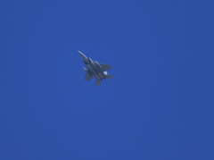 F15