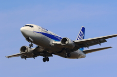 ANA WINGS (3)