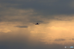 B787