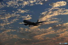 夕陽を浴びて