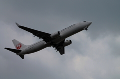 JAL (2)