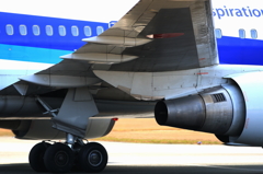 B767 (11)