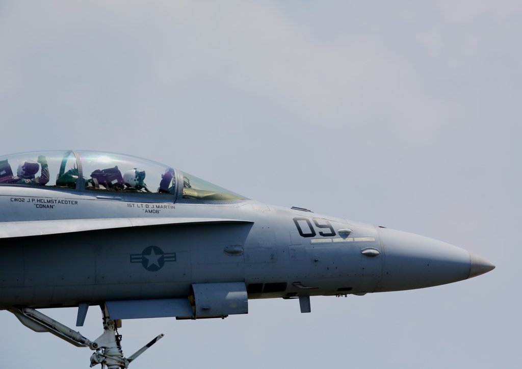 FSD (18)