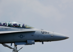 FSD (18)