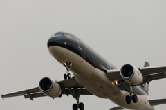 福岡空港RWY16側 (10)