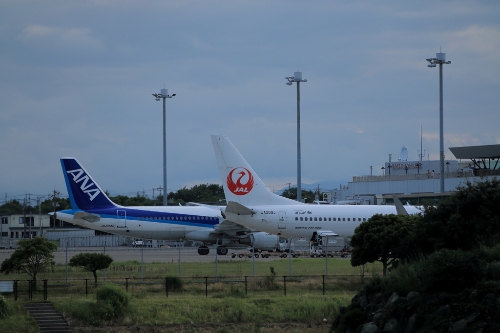 JAL&ANA