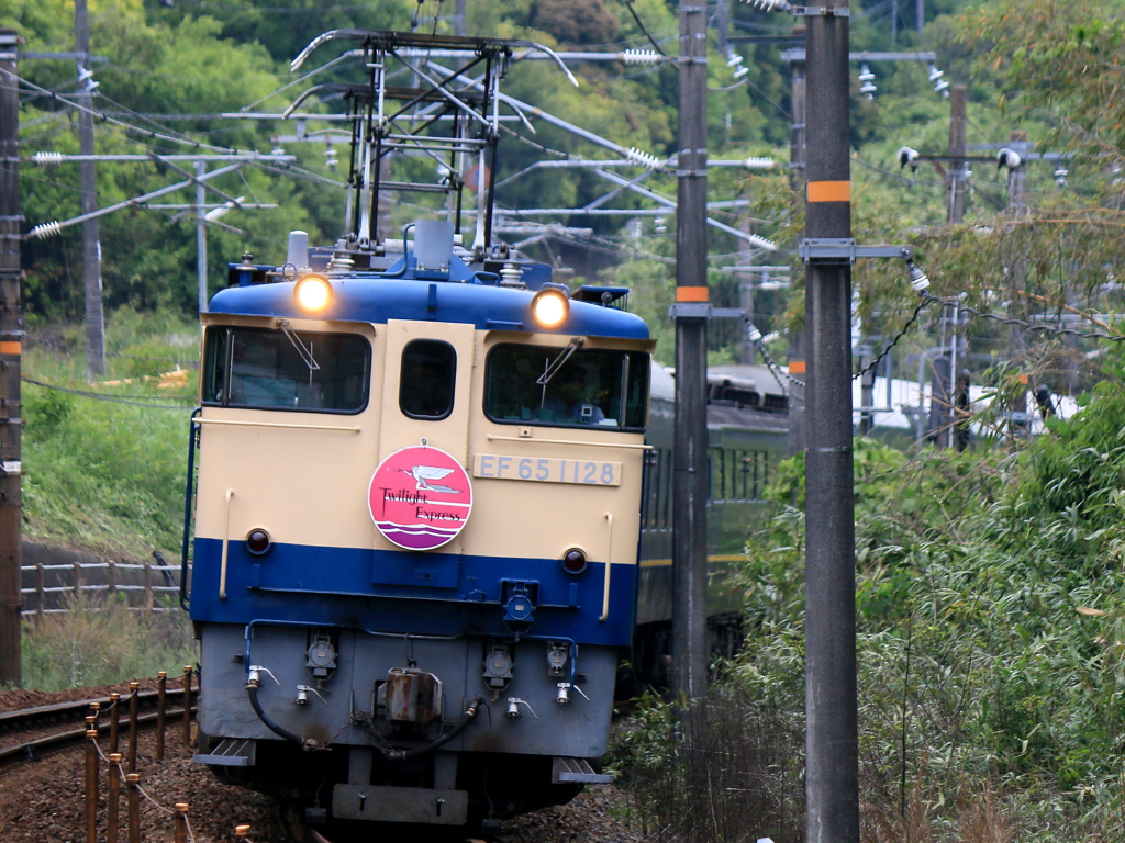 Twilight Express (3)