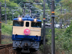 Twilight Express (3)