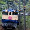 Twilight Express (3)
