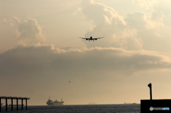 B787 (2)