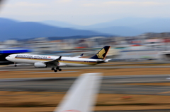 福岡空港2タミ (41)