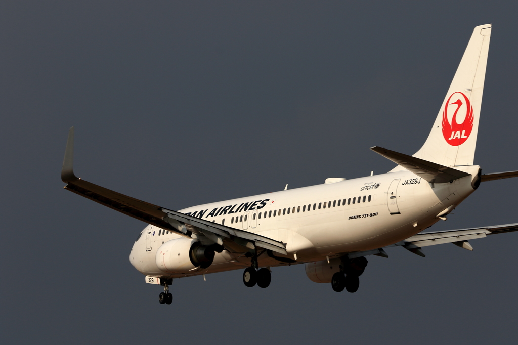 JAL (2)