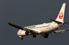 JAL (2)
