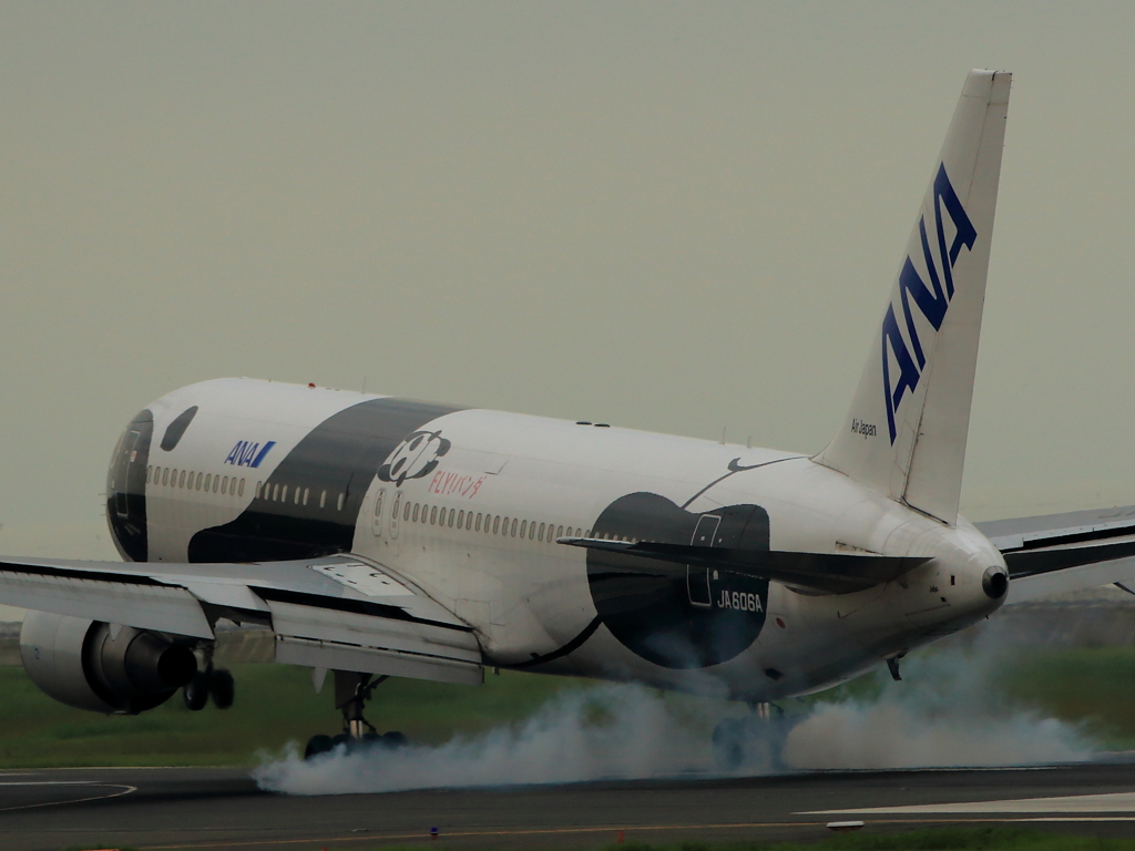 TouchDown