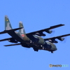 小牧基地オープンベース (5)