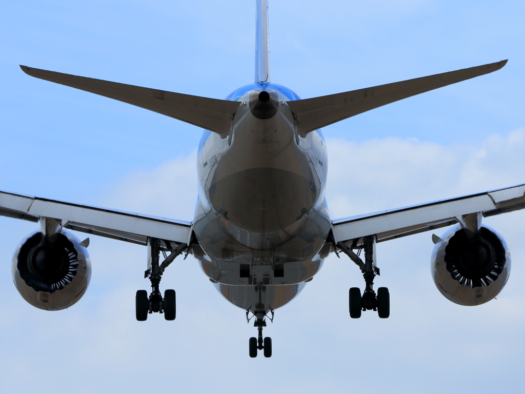 B787 (3)
