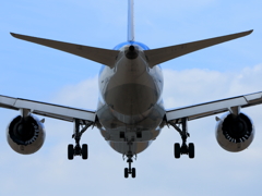 B787 (3)