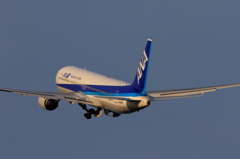 B767 (7)