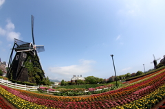 HUIS TEN BOSCH (2)