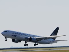 STAR ALLIANCE (2)