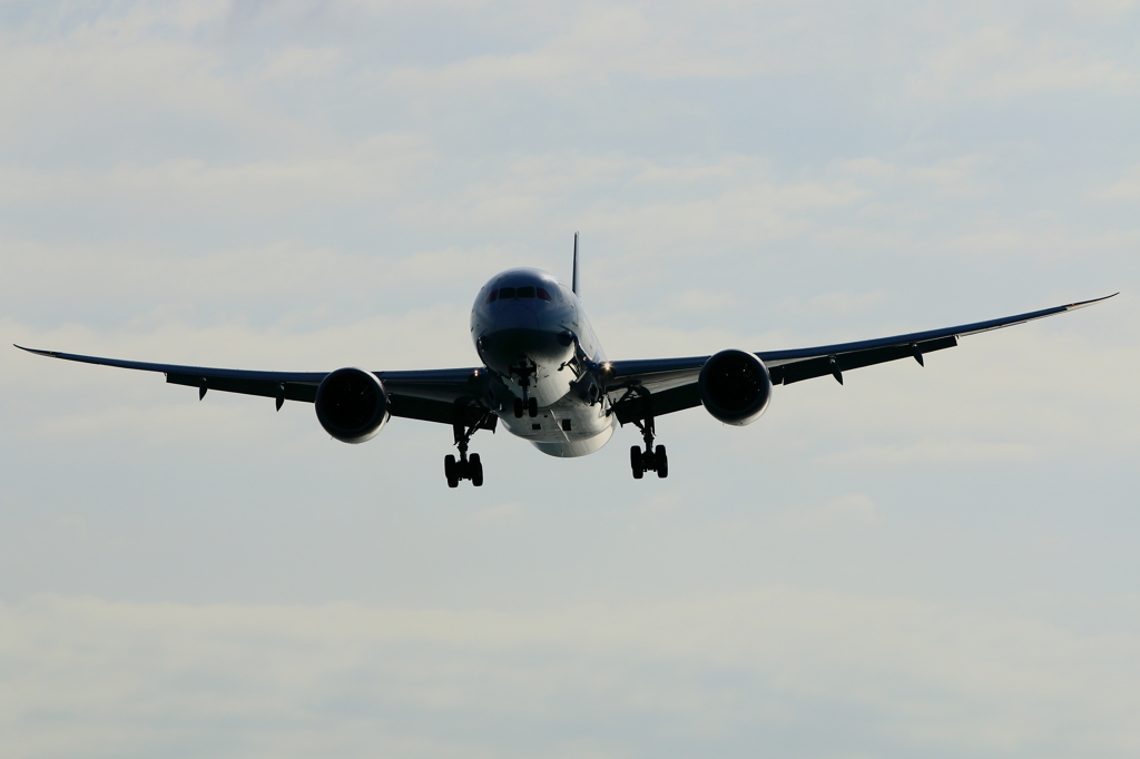 B787