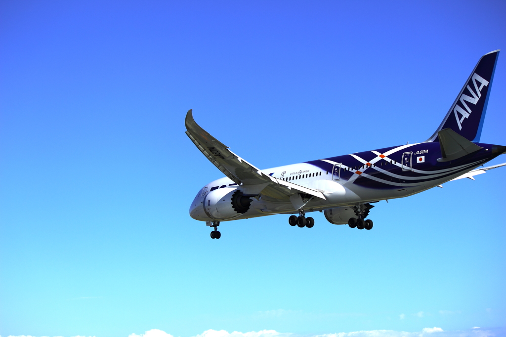 DREAM LINER