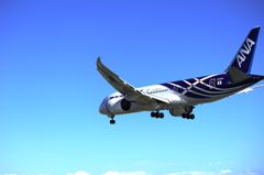 DREAM LINER