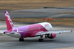 福岡空港2タミ (8)