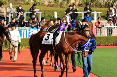 小倉競馬場