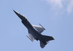 FSD (31)