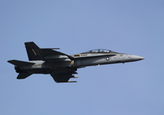 FSD (25)