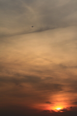 夕焼け空とANA