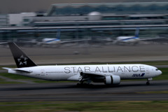 STAR ALLIANCE 